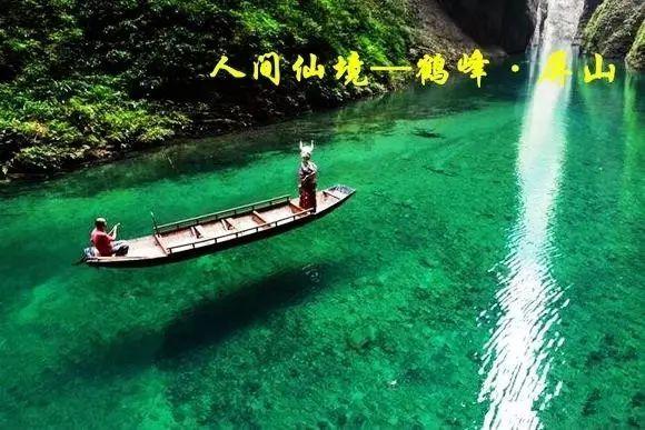 栀子落星海