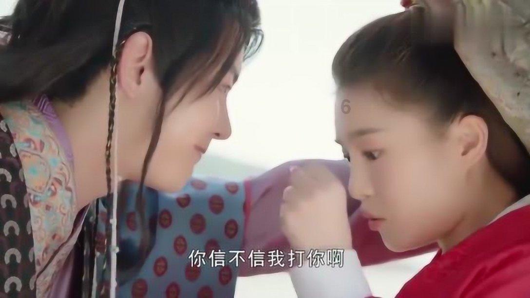 动物狂欢夜