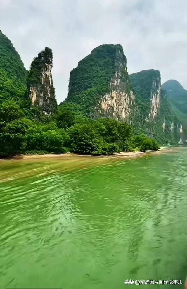 动物滑动拼图